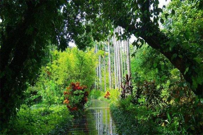 广西药用植物园 广西药用植物园