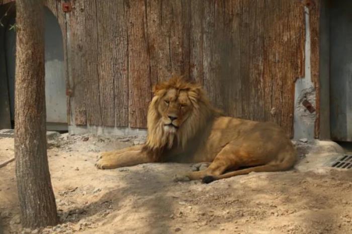 五龙山响水河主题乐园