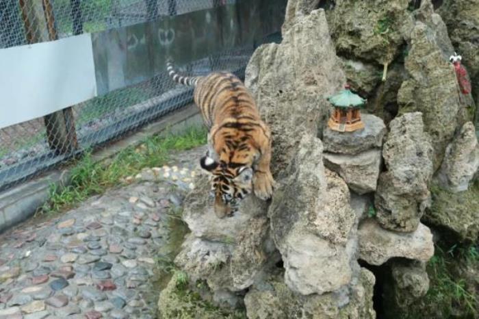 五龙山响水河主题乐园