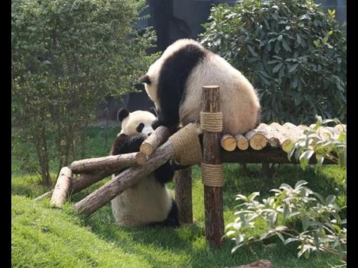 五龙山响水河主题乐园