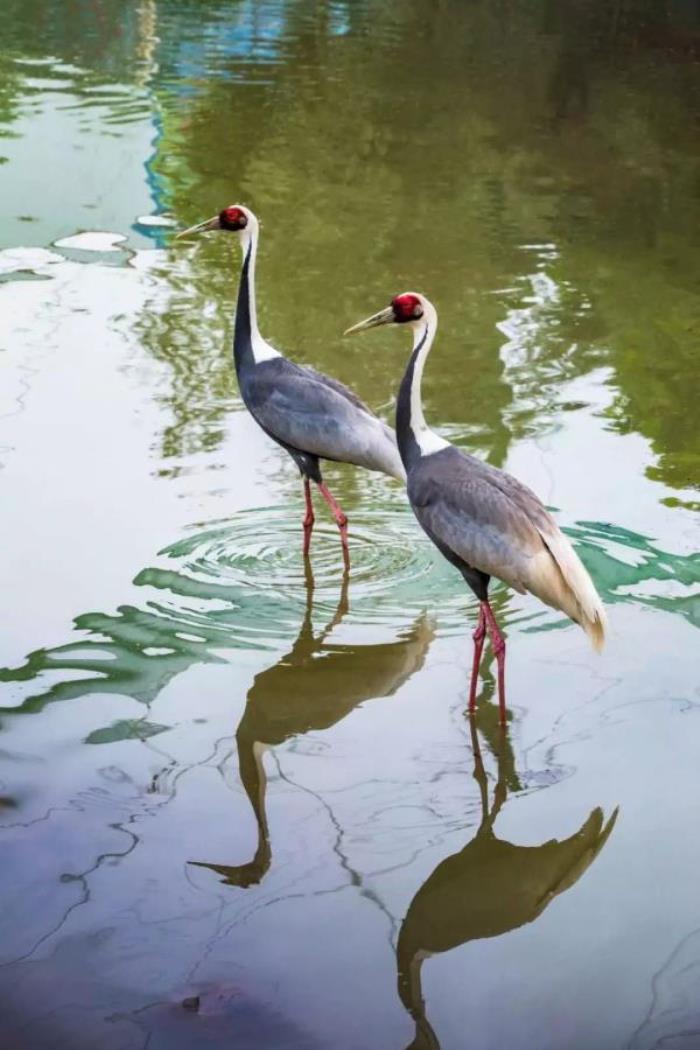 五龙山响水河主题乐园