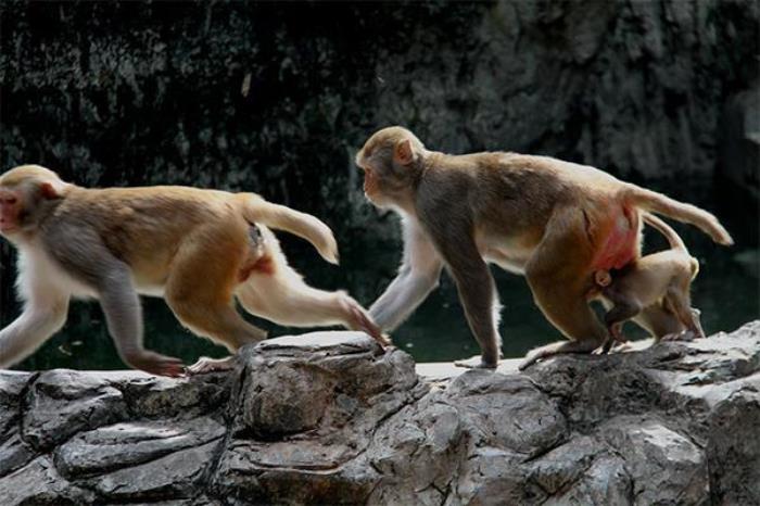 南宁动物园 南宁动物园