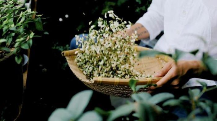平顶山舞钢二郎山 平顶山舞钢二郎山