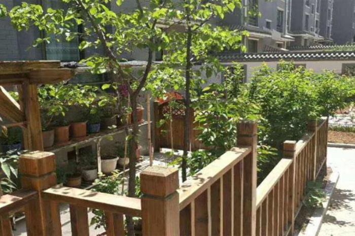 河湟碑林 河湟碑林