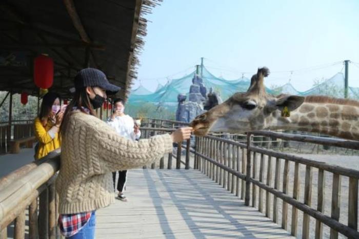 五龙山野生动物园