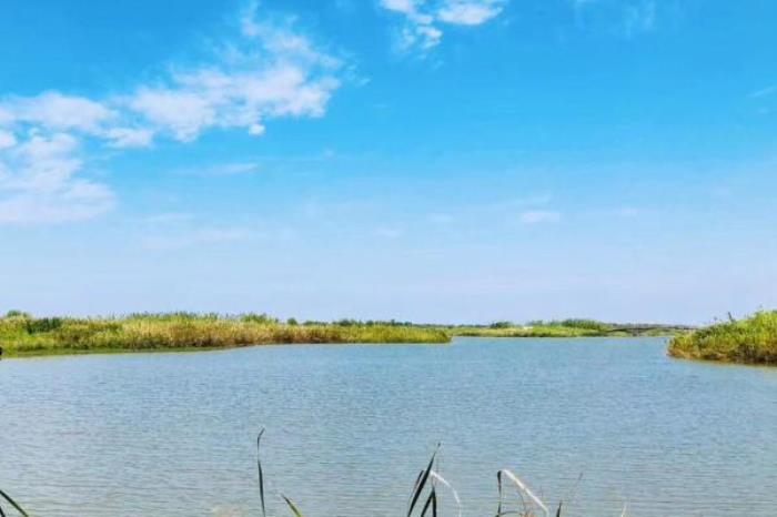 永安龙头国家湿地公园