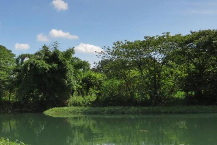 永安龙头国家湿地公园