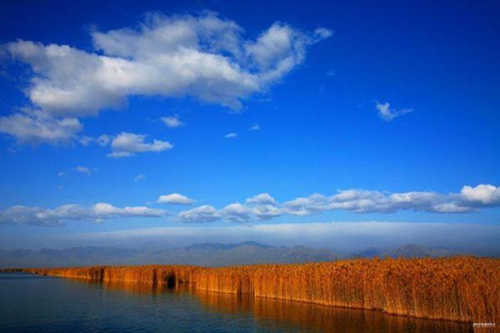 银川沙湖景区门票 银川沙湖景区门票