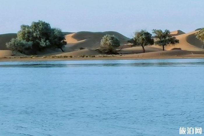 腾格里沙漠天鹅湖