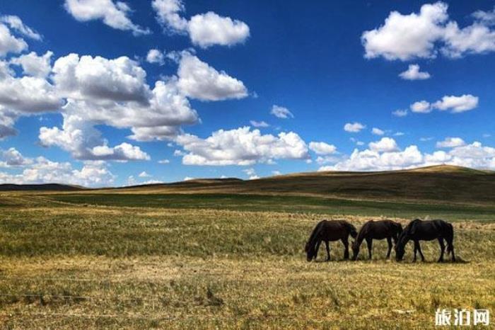 红山军马场北沟风景区