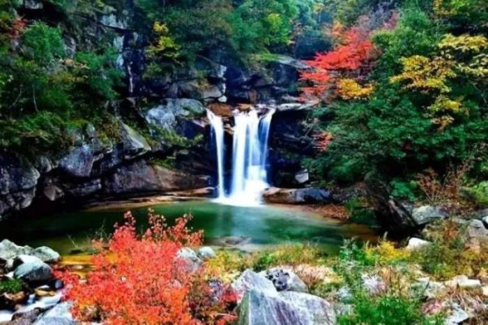 天阶山国家森林公园 天阶山国家森林公园