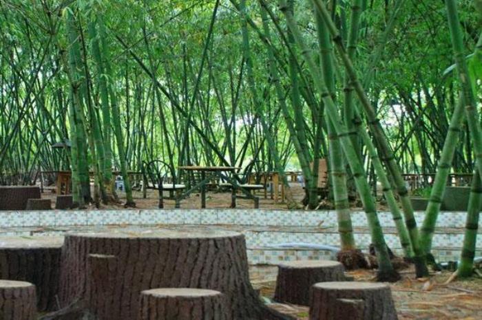 黄竹山庄 黄竹山庄