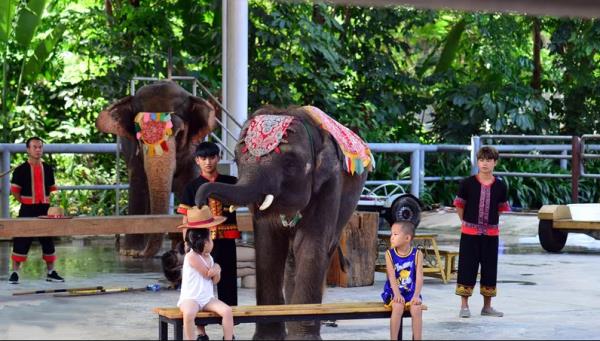 “澜沧江·湄公河之夜”歌舞篝火晚会 “澜沧江·湄公河之夜”歌舞篝火晚会