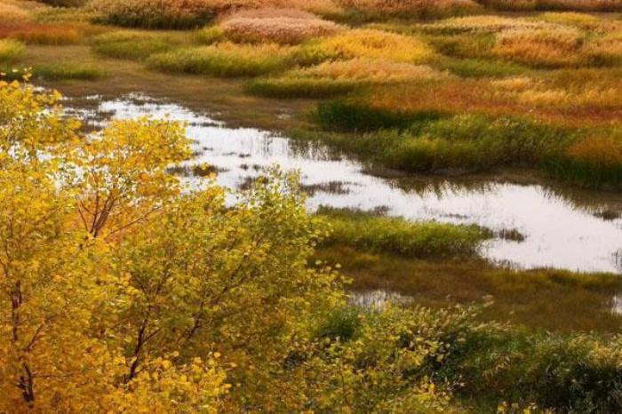 玛纳斯国家湿地公园