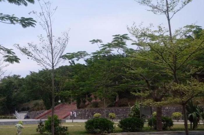 中葵涌公园 中葵涌公园