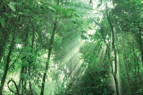 勐远仙境 勐远仙境