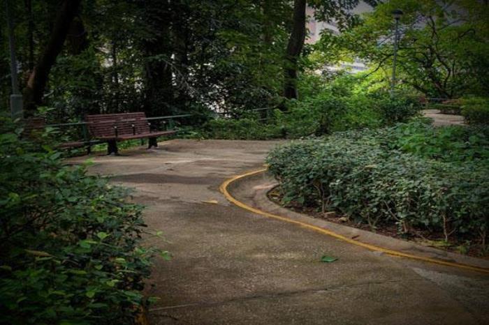 中葵涌公园 中葵涌公园