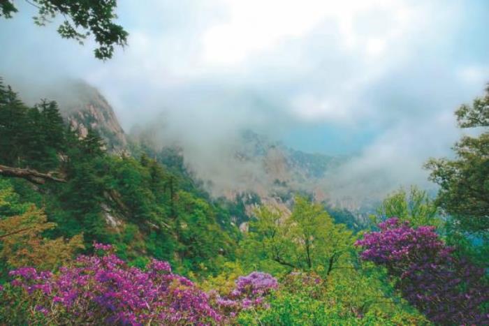 平顶山尧山风景区 平顶山尧山风景区