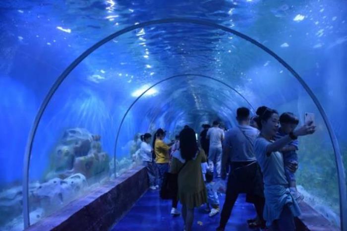 三鲨海洋世界 三鲨海洋世界