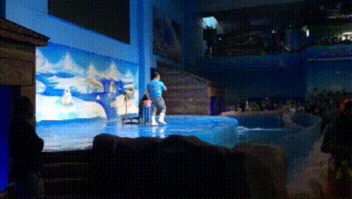 三鲨海洋世界 三鲨海洋世界