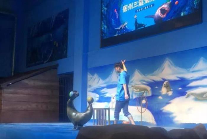三鲨海洋世界 三鲨海洋世界