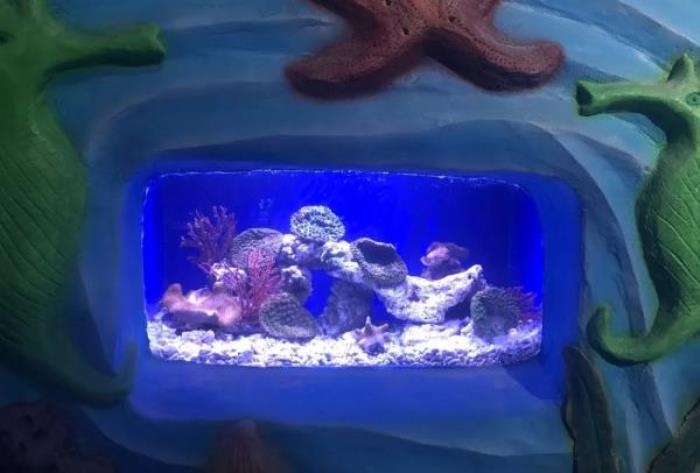 三鲨海洋世界 三鲨海洋世界