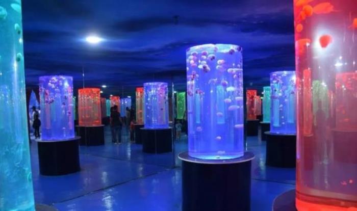 三鲨海洋世界 三鲨海洋世界