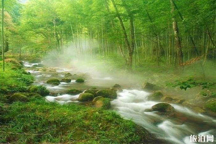 湘洲景区 湘洲景区