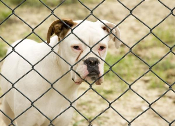 西双版纳热带动物园 西双版纳热带动物园