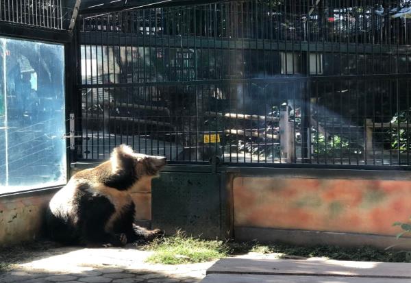 西双版纳热带动物园 西双版纳热带动物园