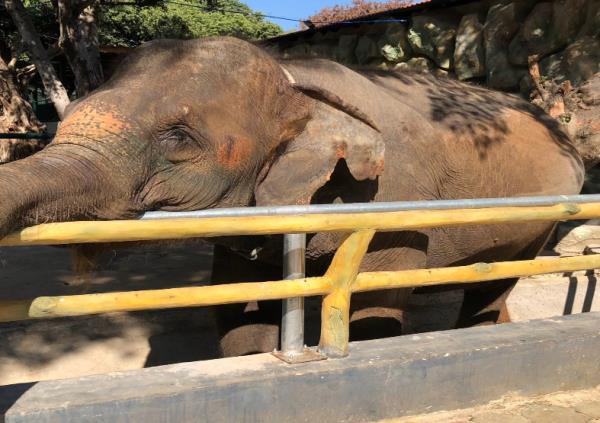 西双版纳热带动物园 西双版纳热带动物园