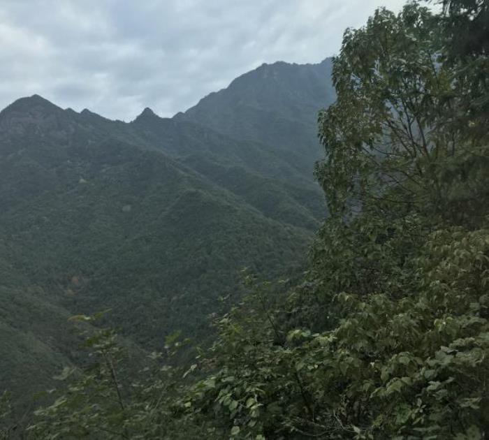 丽水-遂昌金矿国家矿山公园 丽水-遂昌金矿国家矿山公园