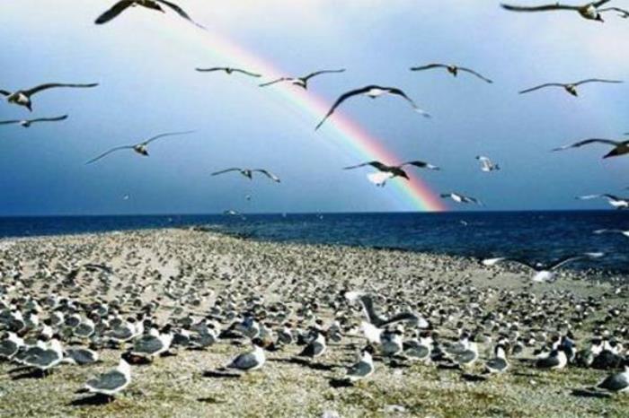 沈阳鸟岛公园 沈阳鸟岛公园