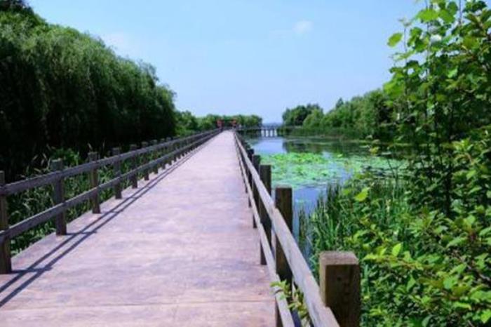 沈阳鸟岛公园 沈阳鸟岛公园