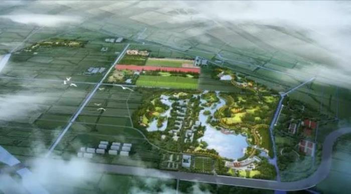 上海长兴岛郊野公园