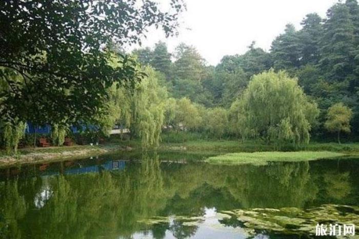 贵阳森林公园 贵阳森林公园