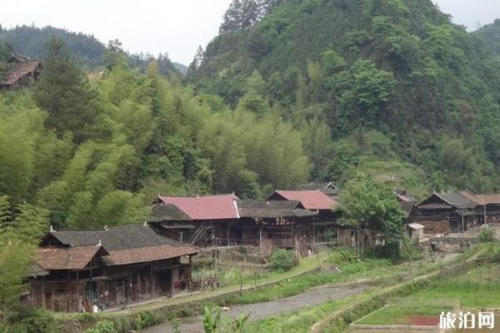 湖南六步溪国家级自然保护区 湖南六步溪国家级自然保护区