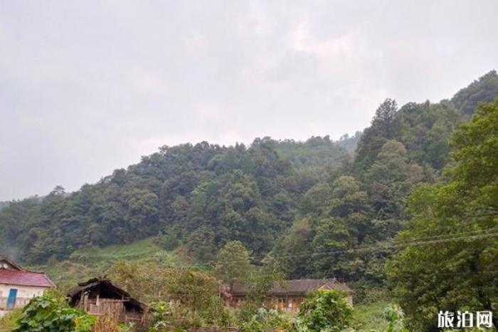 湖南六步溪国家级自然保护区 湖南六步溪国家级自然保护区