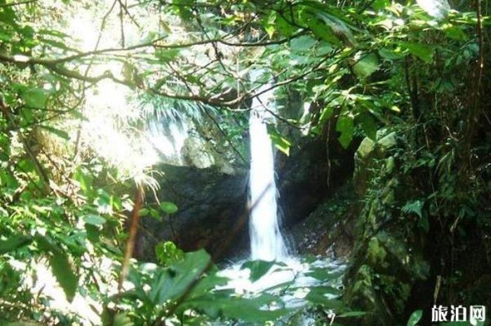 湖南六步溪国家级自然保护区 湖南六步溪国家级自然保护区