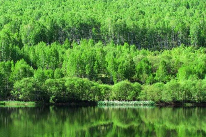 绰源国家森林公园