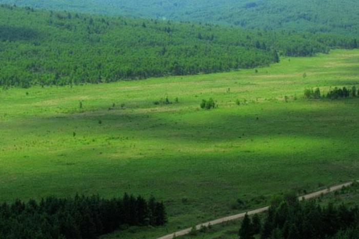 绰源国家森林公园