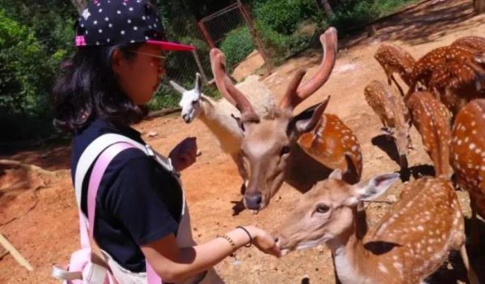 云南野生动物园