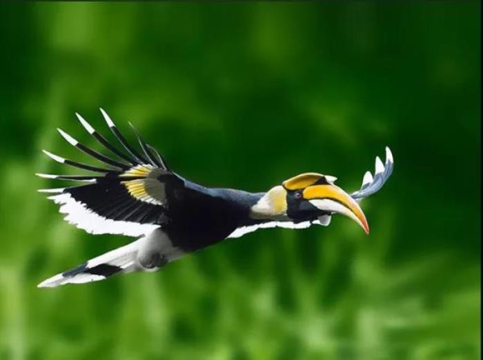 云南野生动物园