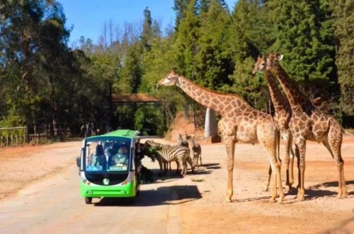 云南野生动物园