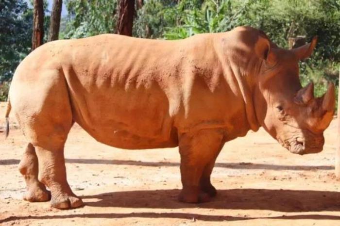 云南野生动物园