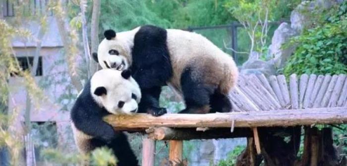 云南野生动物园