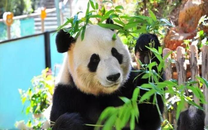 云南野生动物园