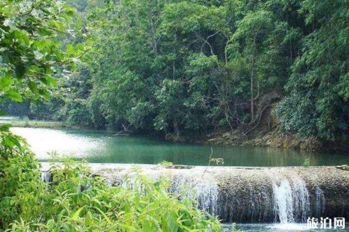 玛柯河原始森林生态旅游景区 玛柯河原始森林生态旅游景区