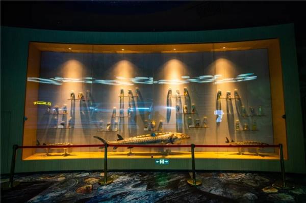 西双版纳傣族自治州-湄公河水底世界 西双版纳傣族自治州-湄公河水底世界