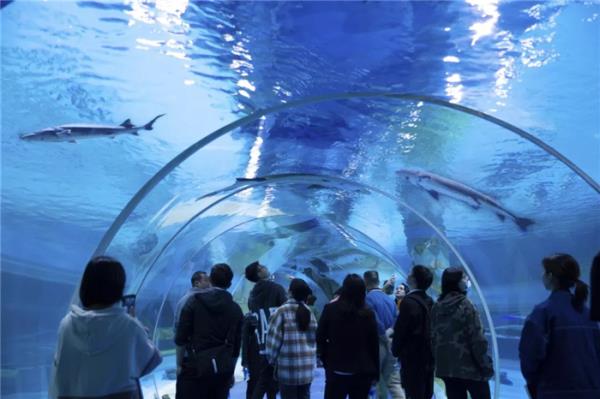 西双版纳傣族自治州-湄公河水底世界 西双版纳傣族自治州-湄公河水底世界